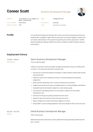 Business Development Manager Resume Guide 12 Templates Pdf