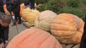 Fashion spoilers from 'The Devil Wears Prada 2' and 'American Love Story' cause stir online