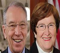 Stories About Politics and Election Coverage