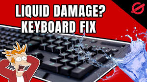 You are better off not touching the internal parts of a laptop unless you are a computer whiz, and you know what to clean internally. Keyboard Liquid Damage Here Is How To Save It Youtube