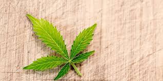 We used to come up here with our girlfriends and smoke a joint. Cannabis Un Seul Joint Suffit Pour Affecter La Conduite Pendant 13 Heures Le Point