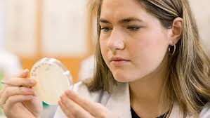 Medical Laboratory Science Major