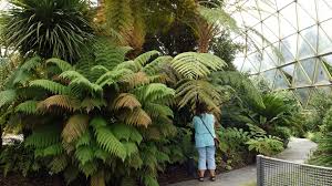 Der botanische garten düsseldorf liegt im süden von düsseldorf am himmelgeister rheinbogen. Bemerkenswelt