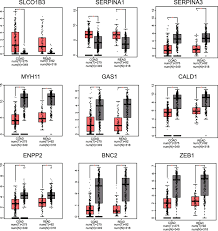 Colorectal cancer (crc) is the most common cancer of the gastrointestinal tract and the second most frequently diagnosed malignancy in adults. Construction And Prognostic Analysis Of Mirna Mrna Regulatory Network In Liver Metastasis From Colorectal Cancer World Journal Of Surgical Oncology Full Text