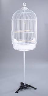 Bird Cage Seed Catcher Australia Round Bird Cage With Stand Finch Canary Cockatiel Parakeet Dome Top White By Mcage Http Www Amazon Com Dp B00a Bird Cage Stand Small Bird Cage Parakeet Bird