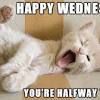 People who save after switching to geico are happier than a camel on wednesday. Https Encrypted Tbn0 Gstatic Com Images Q Tbn And9gcts1pj8eqiwytzzan2wnphlmolsd Gnnnzprsi7ggx8upwblxgm Usqp Cau