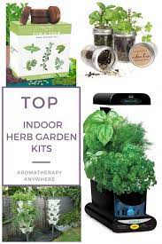Best Indoor Herb Garden Kits Grow Herbs All Year Round Aromatherapy Anywhere Herb Garden Kit Indoor Herb Garden Garden Kits