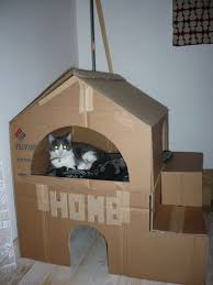 Cabane Pour Animaux Maison De Chat En Carton Lit Chat Diy Maison De Chat