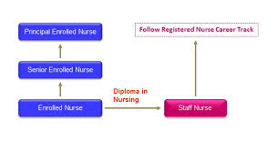 Follow the general nursing career paths below to find out more about the requirements and rewards associated with some of the most popular roles. Career Opportunities