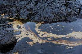 An oil spill from the keystone pipeline in north dakota has turned out to have affected almost 10 times the amount of workers survey the damage of a pipeline leak in a field near edinburg, n.d. After Leak In North Dakota Keystone Pipeline Restart Waiting On Corrective Action