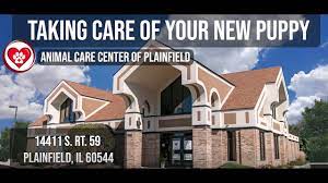 Loneliness is a debilitating disease that makes its victims feel melancholic and sad. Animal Care Center Of Plainfield Kremer Veterinary Services