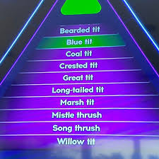 Warwick Davis On Twitter The Tenable Question Was Name 10 Species Of Bird With Tit Or Thrush In Their Name Look At The Bottom Answer I Almost Couldn T Speak Willowtit Https T Co My2vfqkrc2