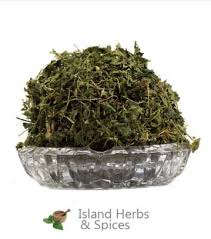 Image result for Phyllanthus nyikae