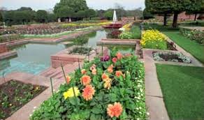 We did not find results for: Udyanotsav Delhi Events