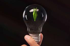 Inspect the bulbs in your grow lights every 4 to 6 weeks. Can Hue Lights Work As Grow Lights Solved