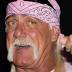 WWE terminates Hulk Hogan's contract, erases...-WashingtonPost