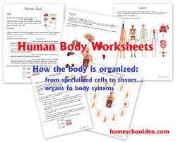 Pin On Biology Lessons