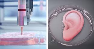 Science Fiction World of 3D Printed Organs