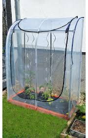 Weitere ideen zu tomatenhaus, tomaten haus, tomatenhaus selber bauen. Tomatenzelt Selbst De