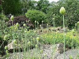 Rockery At Treborth Botanic Garden Bangor Botanical Gardens Botanical Garden