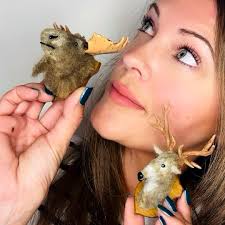 Really wanted to buy a deer head (a plastic one) online but they were too  expensive and kinda boring. I'm quite crafty so I downloaded a free deer  head template, recycled some