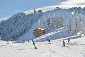 Decese, comemorări şi pierderi pot fi depuse doar personal la sediul redacţiei din strada olteţ, nr. Toate Partiile Din Poiana PrimÄƒria Municipiului Brasov Facebook