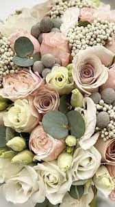 Maybe you would like to learn more about one of these? Wholesale Flowers Wholesale Fresh Flowers Beautiful Flowers Garden Wholesale Flowers Online