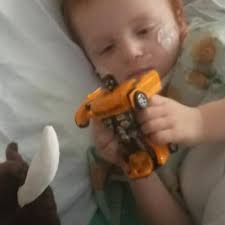 Fundraiser for Jessica Hupfer by Elaine Schaffer : Medical Expenses for  Gingy aka Aidan