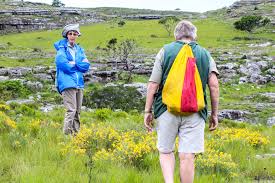 Image result for Orthochilus milnei