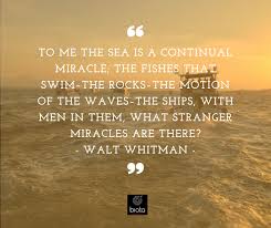 Welcome Ocean Quotes Walt Whitman Coral Reef Aquarium