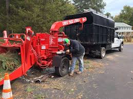 Kevin snead founded snead's landscaping and tree service, llc to provide quality, professional tree and landscaping services at reasonable prices to charlottesville and the surrounding areas. Simply Trees And More Llc Tree Removal Service Charlottesville Va