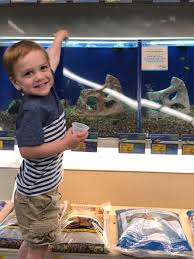 Professional pet sitters and dog walkers. Petsmart Expands In Store Events To Include Sample Saturdays Camp Critters Series In Stores Nationwide Business Wire