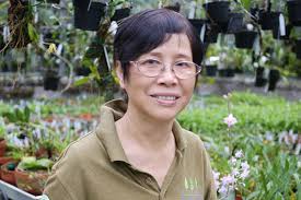 Kitty Yip's Instagram, Twitter & Facebook