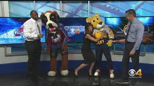 Denver nuggets point guard jamal murray reportedly will not play saturday against the sacramento kings due to left knee soreness, according to mike singer of the denver post. Mascots Rocky And Bernie Visit Cbs4 S Studio Youtube