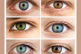 And there are many shades of eye color in between. What Is Your True Eye Color