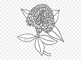 There's no better cure for cabin fever than printing and coloring our free coloring pages for kids. United States Clip Art By Phillip Martin State Flower Vermont State Flower Coloring Page Free Transparent Png Clipart Images Download