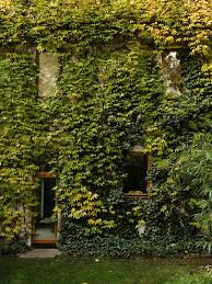 I've been following interior designer lauren liess's popular blog pure style home for a long time, but even if you haven't, you've probably seen her work featured in magazines like better homes and gardens. In Berlin Mysterious Dwellings Hidden Amid The Trees The New York Times