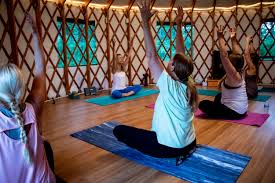 The 26+2 series (original hot yoga) provides the foundation of what we offer, with a variety of other classes meant to complement a regular hot yoga practice. Lifepath Yoga Center Llc