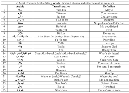 جمل وكلمات عامية مصرية خالصة مترجمة الى اللغة الانجليزية رائعة Slang Arabic Words