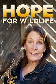 Kayla Flinn's Instagram, Twitter & Facebook