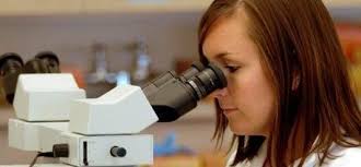 Apply for an Undergraduate Summer Research Grant