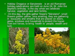 Romania celebrates the sanziene (also known as dragaica) today, june 24, a pagan tradition that coincides with the orthodox holiday of the birth of st. DrÄƒgaica Sanziene Sanzeienele The Summer Solstice Holiday Day Book Holiday Summer Solstice