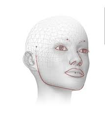 From Lipstick to Security: Facial Recognition Without High-Resolution  Complexity