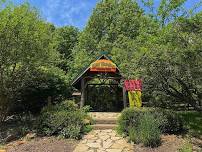 Free Community Park Day