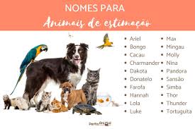 Nomes para ANIMAIS de ESTIMAÇÃO - Populares e os mais criativos