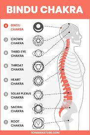We did not find results for: Bindu Chakra 8th Chakra Meaning Chakra For Beginners Chakra Chakra Meditation