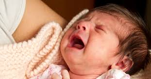 Wisata sumatra kamis, 12 agustus 2021 Breast Refusal 13 Tips For A Baby That Refuses The Breast Bellybelly