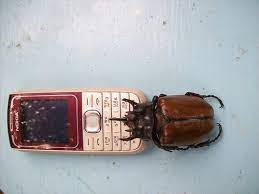 Tue 13 feb 2018 01.00 est. How To Bug A Cell Phone Without Touching It