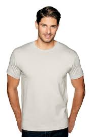 Next Level T Shirts Fitted Short Sleeve Crew 3600 Threadbird