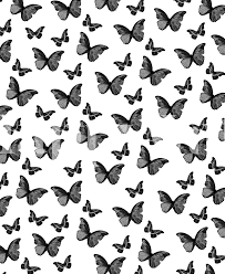 Design greeting card and invitation of wedding, birthday, valentine s day, mother. Buy Black White Butterfly 1 Wallpaper Free Shipping At Happywall Co Uk